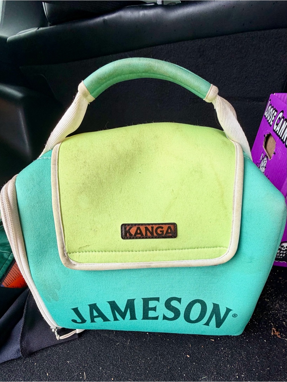 Two-Tone Green Mini Tote Cooler